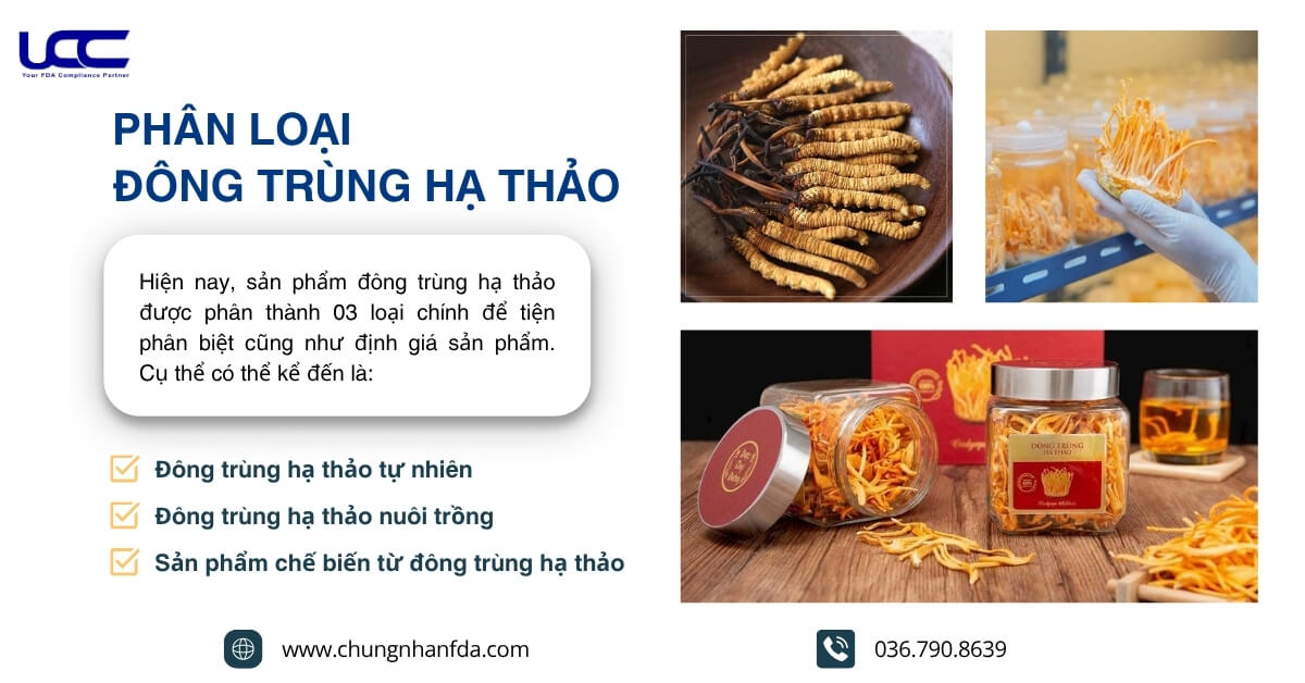 Dược liệu quý hiếm này được chia làm 3 loại chính