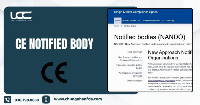 CE Notified Body: Vai Trò, Tiêu Chí Lựa Chọn Và Quy Trình Đánh Giá Đạt Chuẩn EU MDR/IVDR