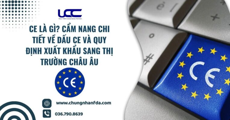 CE Là Gì? Cẩm Nang Chi Tiết Về Dấu CE Và Quy Định Xuất Khẩu Sang Thị Trường Châu Âu